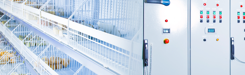 Ensuring Accurate Cold Storage Monitoring with RTD Pt100 Sensors