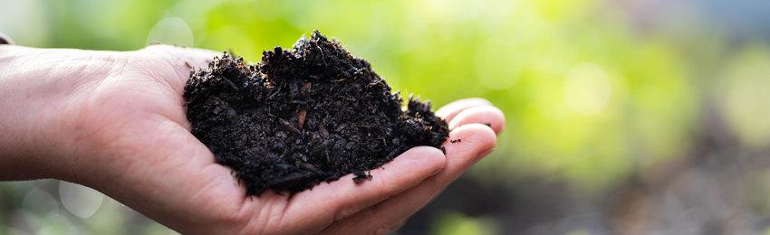 Thermocouples in Compost Pile Temperature Measurement