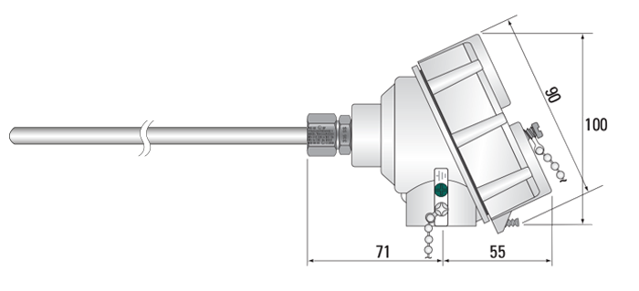 IECEx Approved RTD Pt100 Sensors with Stainless Steel Head