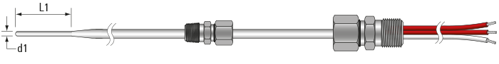 RTD, PRT, Pt100 Sensor with Terminal Entry Gland