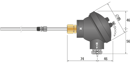 RTD, PRT, Pt100 Sensor with Cast Iron Head