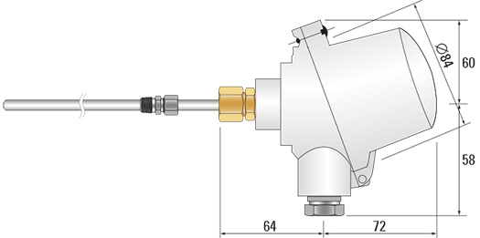 RTD, PRT, Pt100 Sensor with BUZ-H Style Head