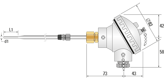 RTD, PRT, Pt100 Sensor with Standard Head