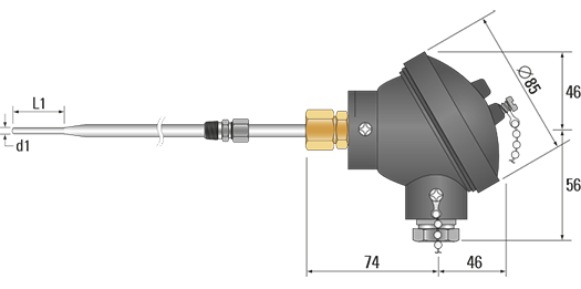 RTD, PRT, Pt100 Sensor with Cast Iron Head