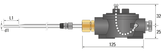 RTD, PRT, Pt100 Sensor with Straight Through Head