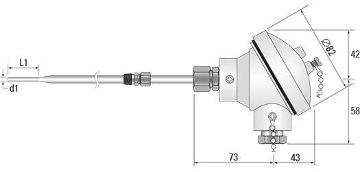 RTD, PRT, Pt100 Sensor with Stainless Steel Head