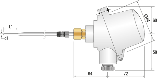 RTD, PRT, Pt100 Sensor with BUZ-H Style Head